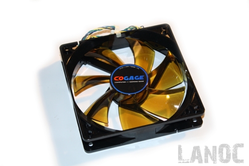 cogagetruespirit_10